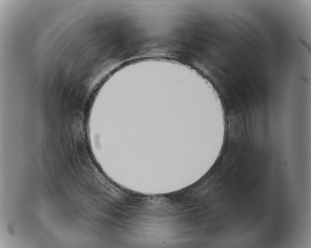 X0000103931452200809191112