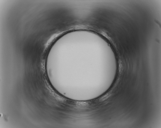 X0000103931454200809191112