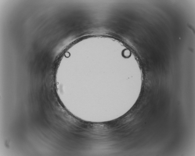 X0000103931456200809191112