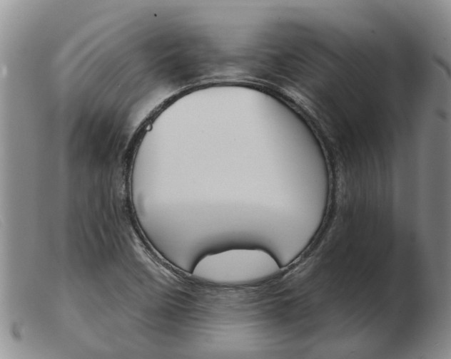 X0000103931458200809191112