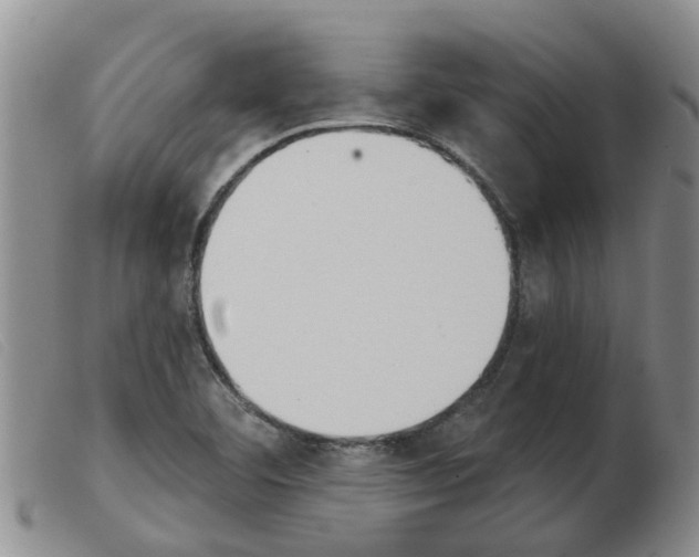 X0000103931460200809191112