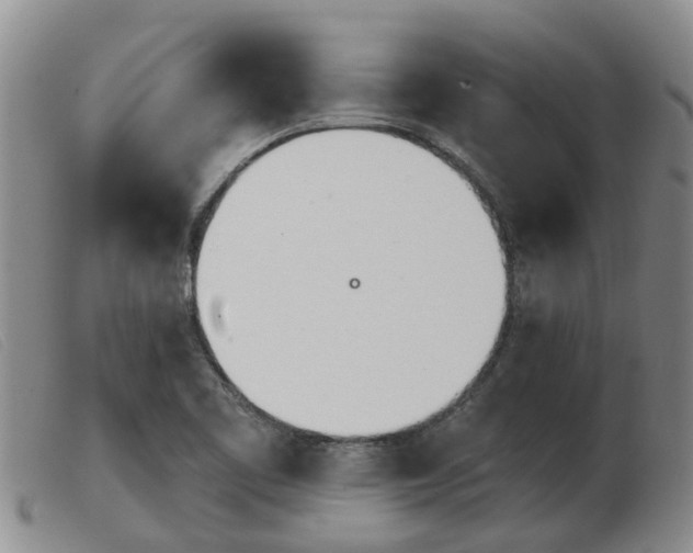 X0000103931461200809191112