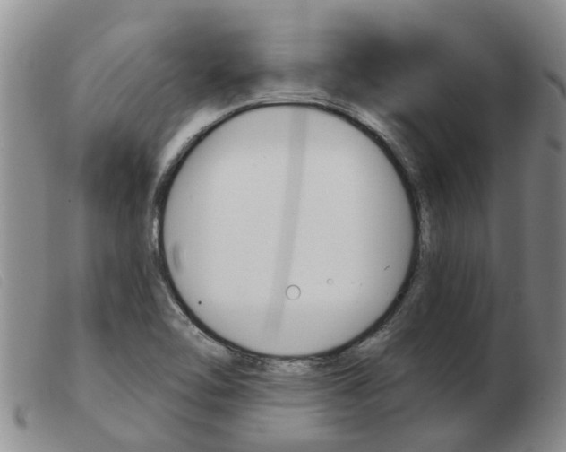 X0000103931462200809191112