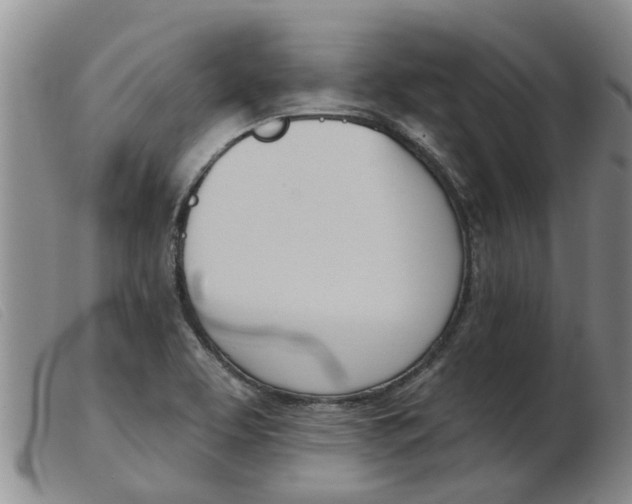 X0000103931463200809191112