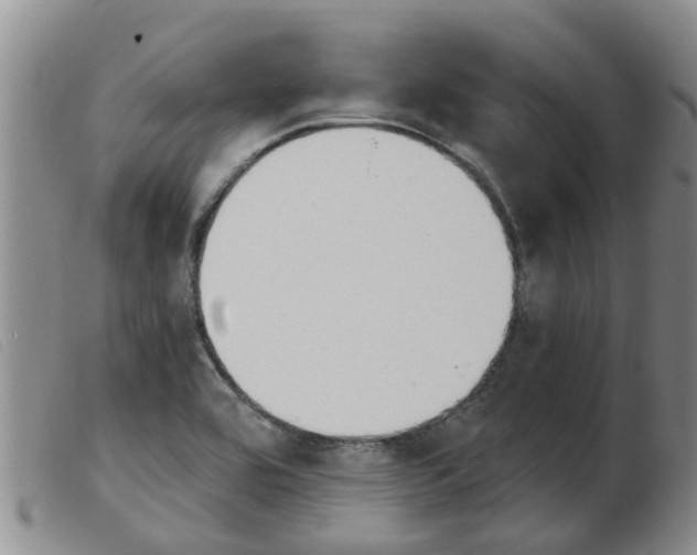 X0000103931464200809191112