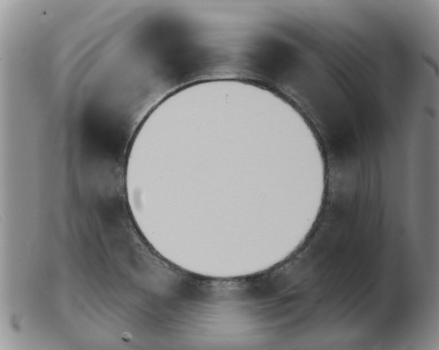X0000103931465200809191112