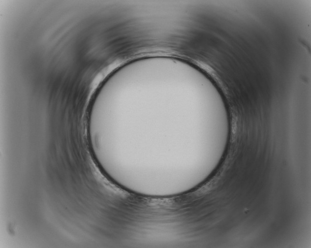 X0000103931466200809191112