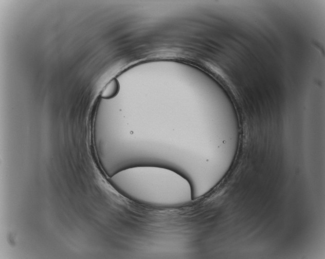 X0000103931467200809191111