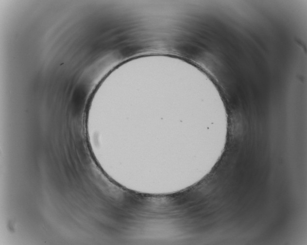 X0000103931468200809191111