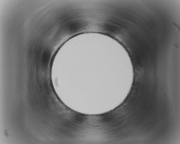 X0000103931469200809191111