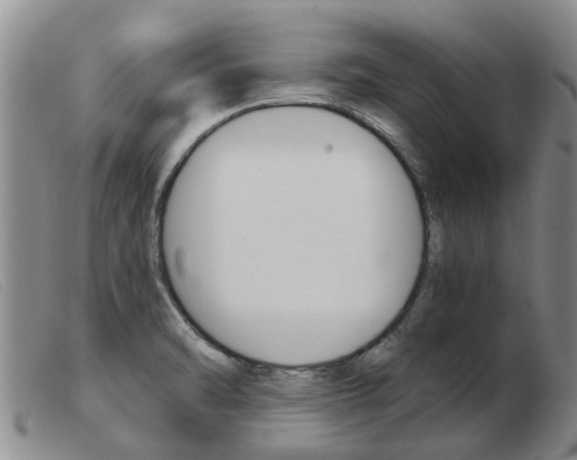 X0000103931470200809191111