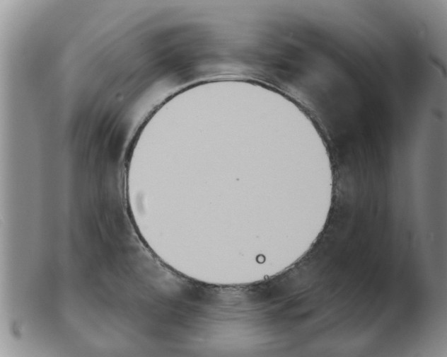 X0000103931472200809191111