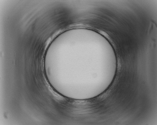 X0000103931474200809191111