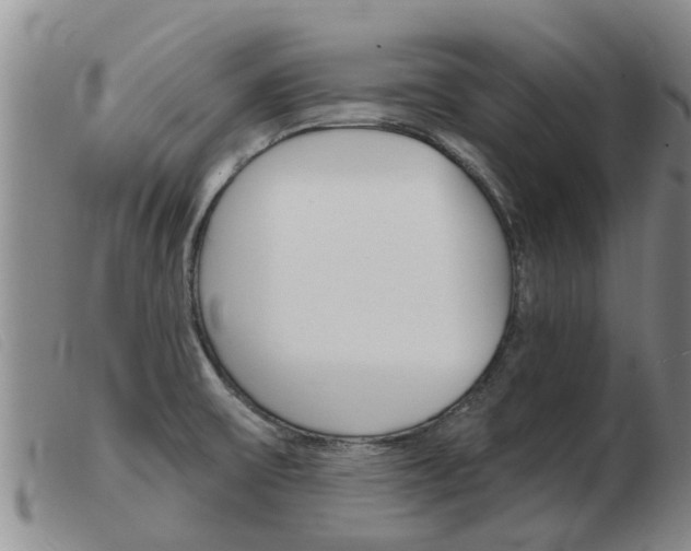 X0000103931475200809191111