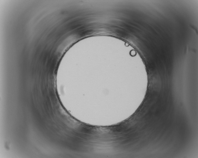 X0000103931476200809191111
