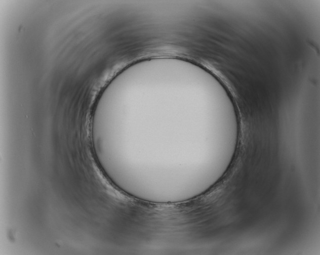 X0000103931477200809191111