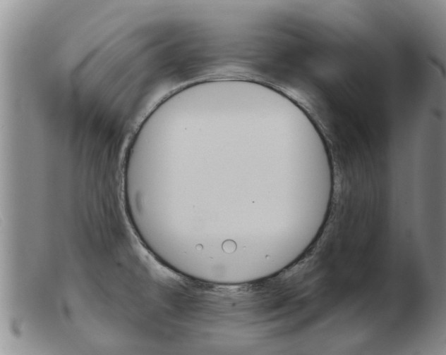 X0000103931478200809191111