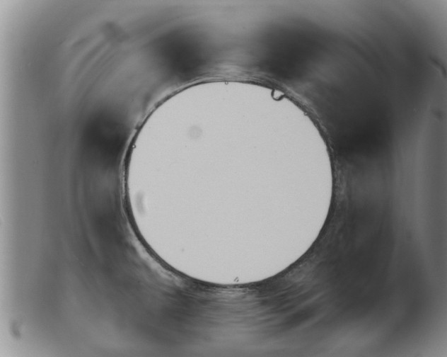 X0000103931479200809191111