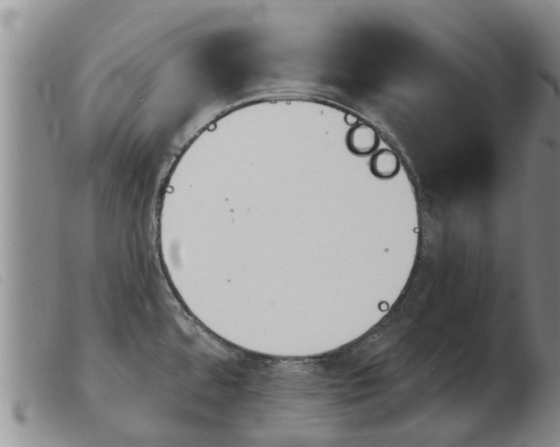 X0000103931480200809191111