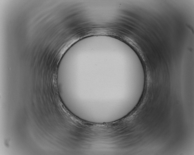 X0000103931481200809191111