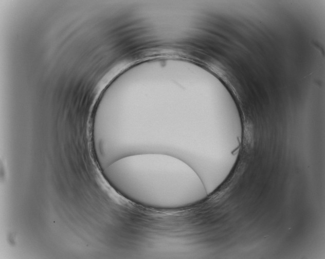 X0000103931482200809191111