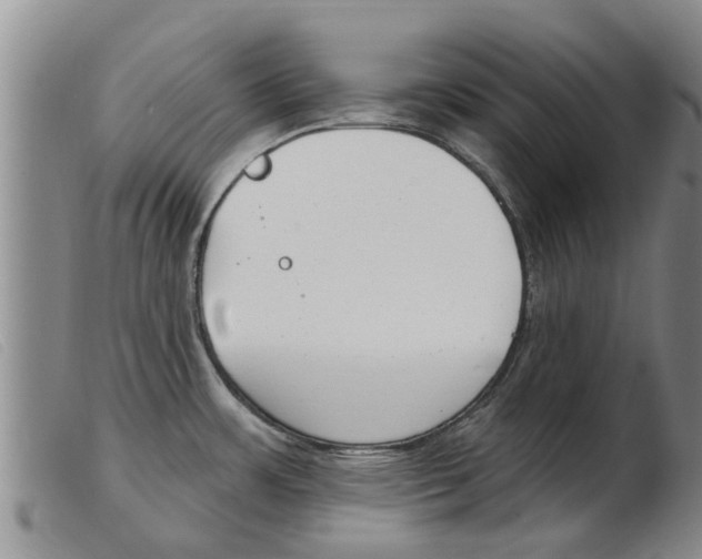 X0000103931483200809191111