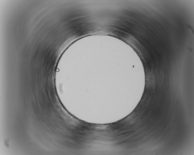 X0000103931484200809191111