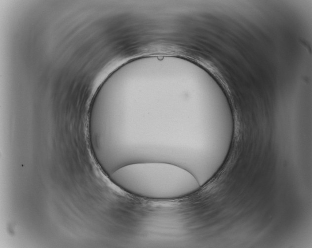 X0000103931486200809191111