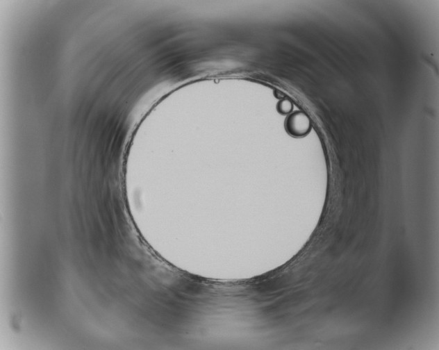 X0000103931488200809191111