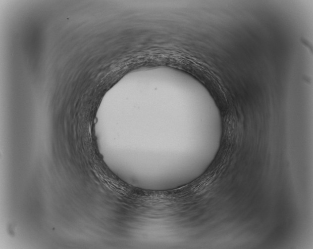 X0000103931489200809191110
