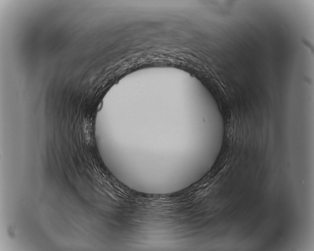 X0000103931490200809191110