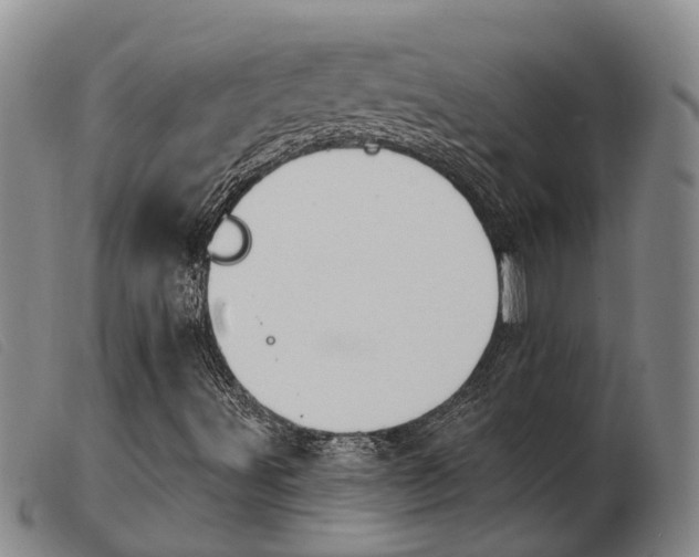 X0000103931491200809191110