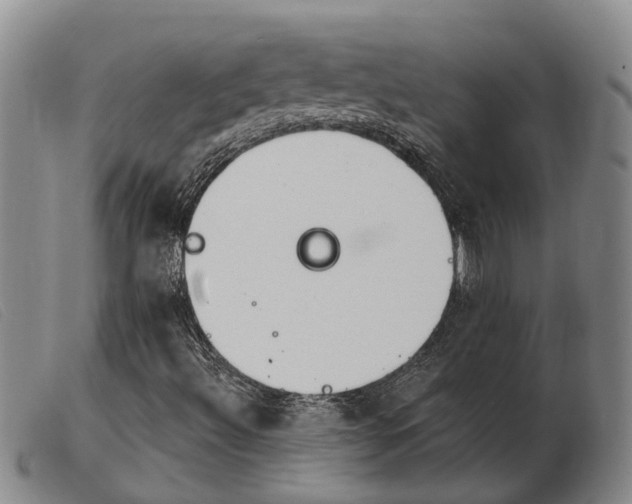 X0000103931492200809191110