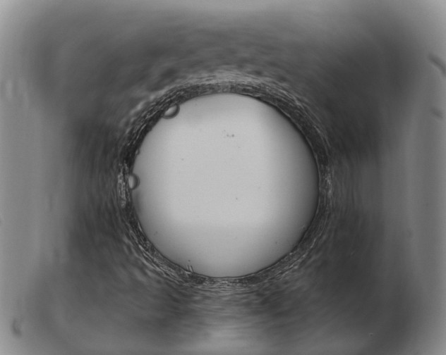 X0000103931493200809191110