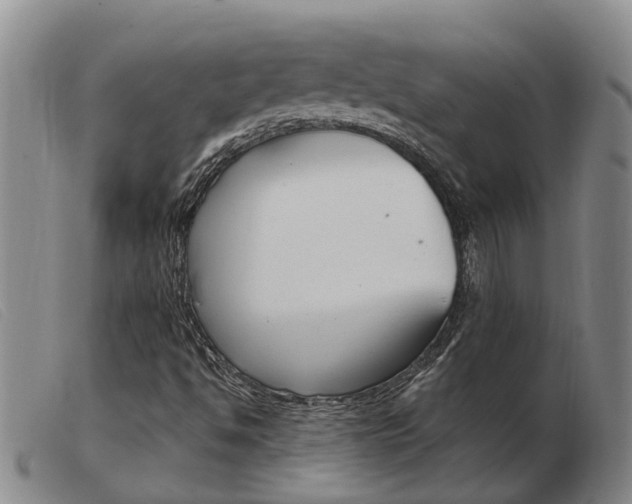 X0000103931494200809191110