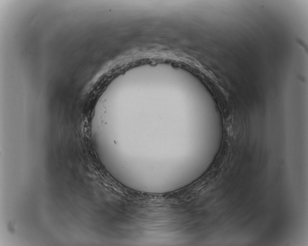 X0000103931495200809191110