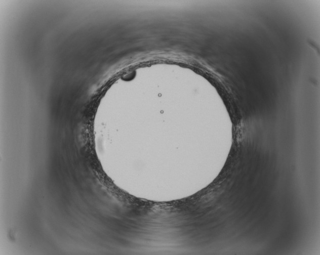X0000103931496200809191110