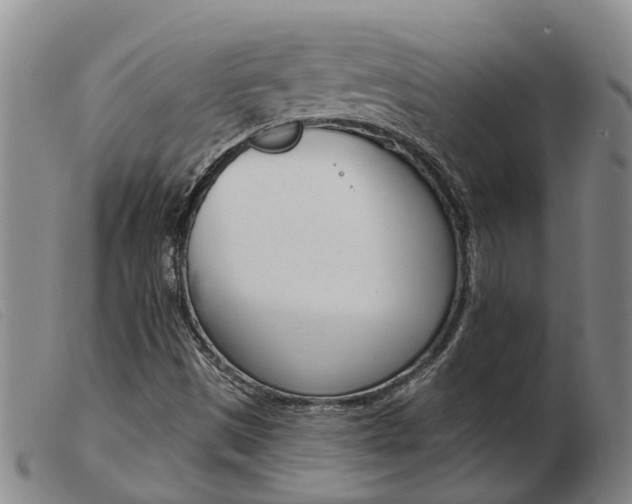 X0000103931497200809191110
