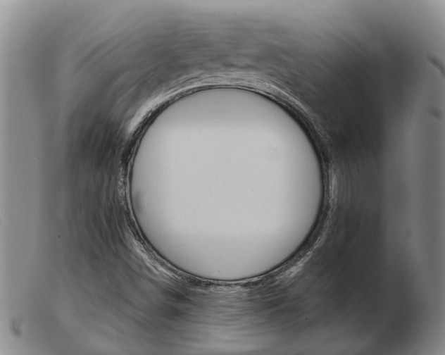 X0000103931498200809191110