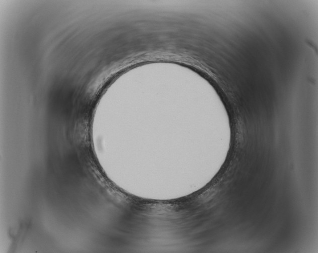 X0000103931499200809191110