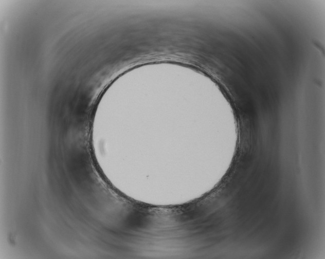 X0000103931500200809191110