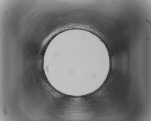 X0000103931502200809191110