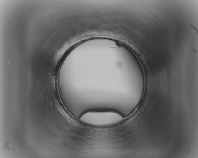 X0000103931503200809191110