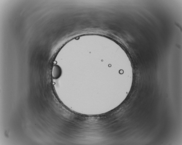 X0000103931504200809191110