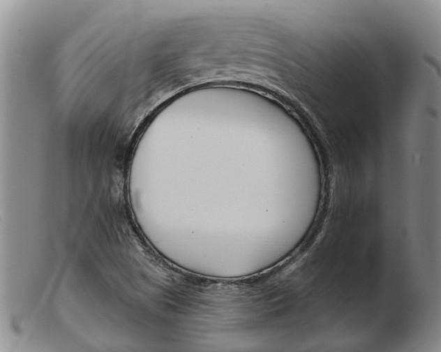 X0000103931505200809191110