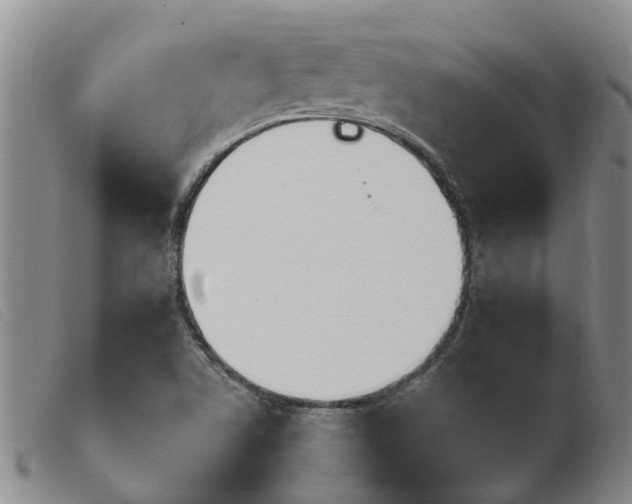 X0000103931506200809191110