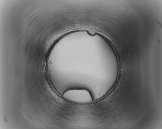 X0000103931507200809191110