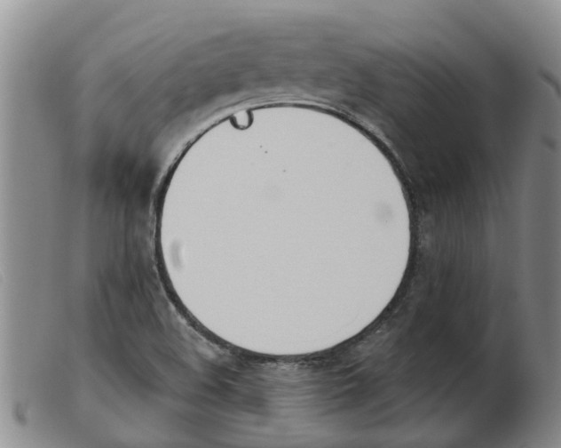 X0000103931508200809191110