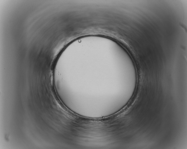 X0000103931509200809191110