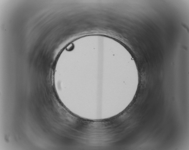 X0000103931510200809191110